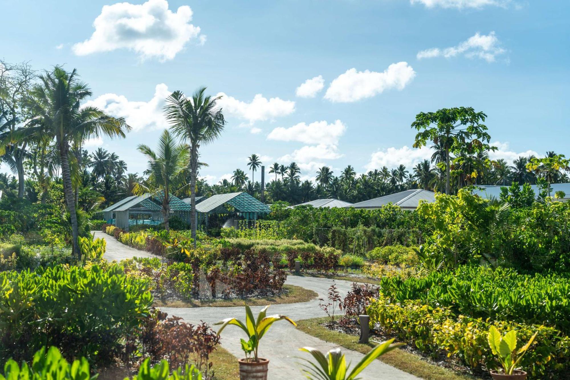 Waldorf Astoria Seychelles Platte Island Hotel Bagian luar foto